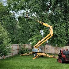 Best Tree Cabling and Bracing  in Bellwood, VA