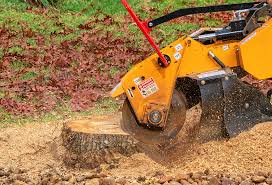 Reliable Bellwood, VA Tree Services Solutions